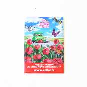 Pack "Coquelicot" - boîte de bonbons + magnet + stylo 