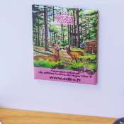 Magnet rose - violette 